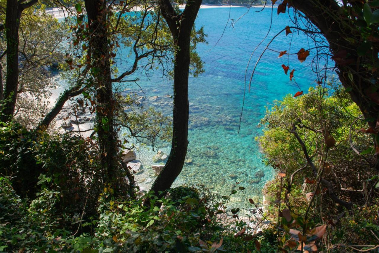 Pelion Bnb Luxury Homes Дамухари Экстерьер фото